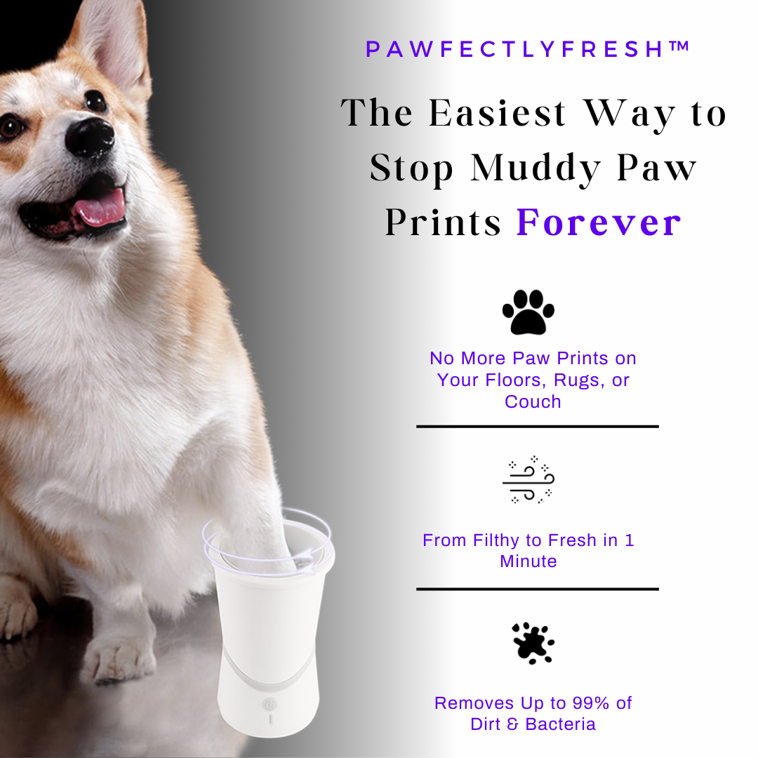 PawfectlyFresh™ - Automatic Paw Cleaner