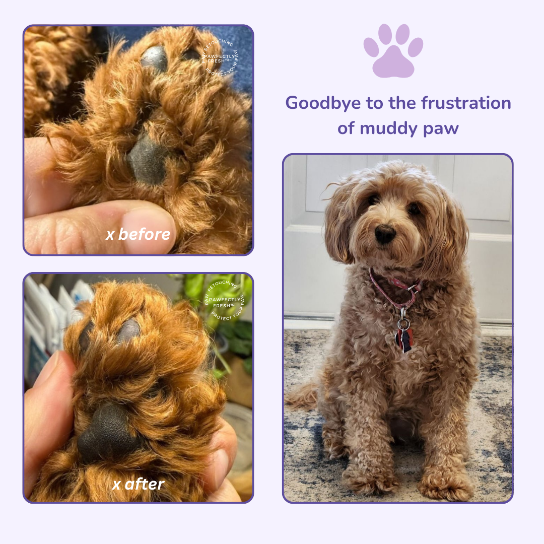 PawfectlyFresh™ - Automatic Paw Cleaner