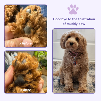 PawfectlyFresh™ - Automatic Paw Cleaner
